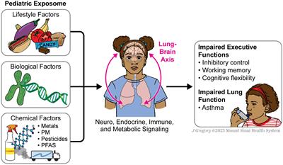 Exploring the link between the pediatric exposome, respiratory health, and executive function in children: a narrative review